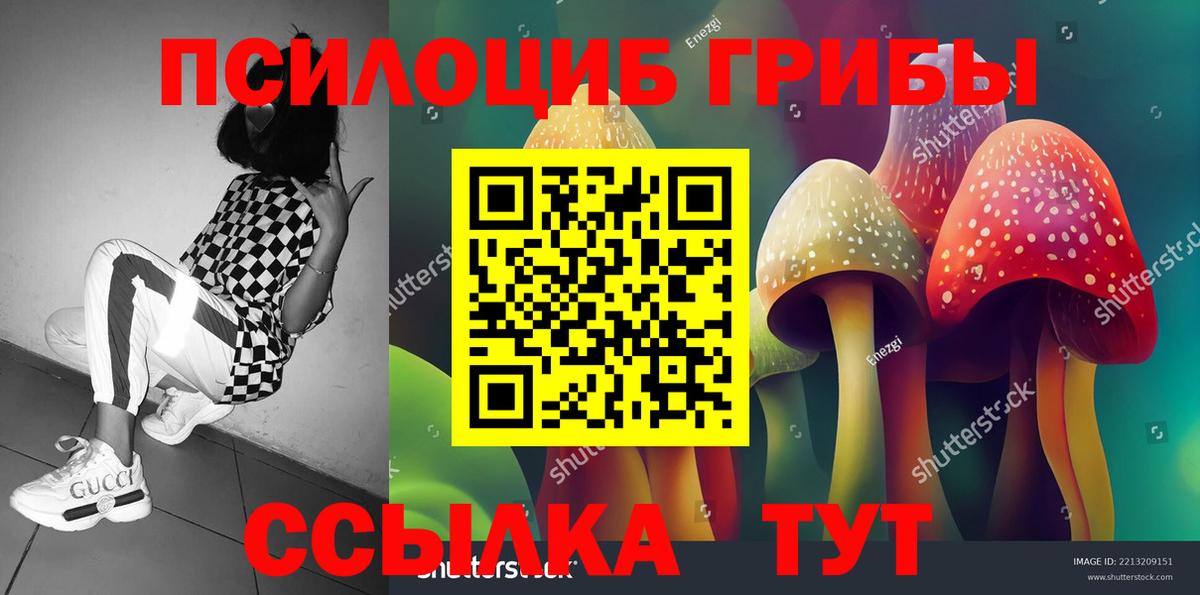 Галлюциногенные грибы Psilocybe Псков